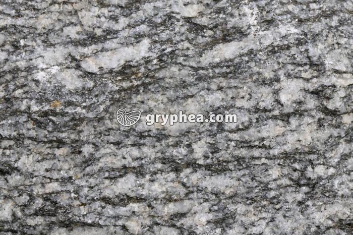 Gneiss (Emosson, Suisse) - détail - gryphea.com